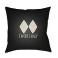 thumbnail image 2 of Surya Experts Only Black Diamond Outdoor Pillow, 2 of 2