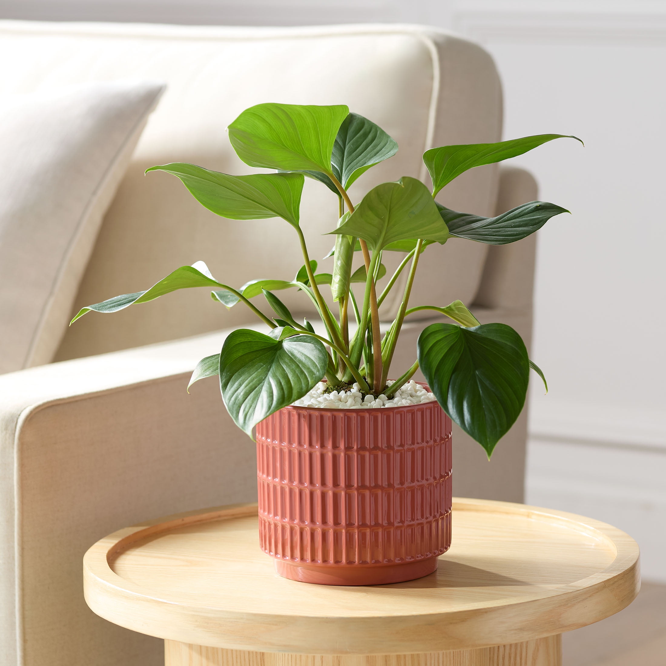 Mainstays 6" x 6" x 5.5" Round Red Ceramic Grid Plant Planter
