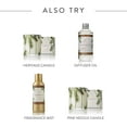 thumbnail image 6 of Thymes Frasier Fir Ceramic Reed Diffuser 7.75 oz., 6 of 6