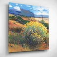 thumbnail image 3 of Epic Art 'Chamisa II' by Tim O'Toole, Acrylic Glass Wall Art, 12"x12", 3 of 7
