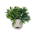 thumbnail image 6 of Bamboo Blooms 7" Round Self-Watering Indoor/Outdoor Bamboo Pots Green Leaves, 6 of 6