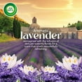 thumbnail image 4 of AIR WICK® SCENTED OIL - Refill - 0+2 Vibrant™ Lavender & Waterlily 6/(2x20) mL, 4 of 7