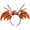 OR, variant on Hwkond Outdoor Halloween Decorations Spider Halloween Face Wing Festive Up Hair Buckle Winged Spider