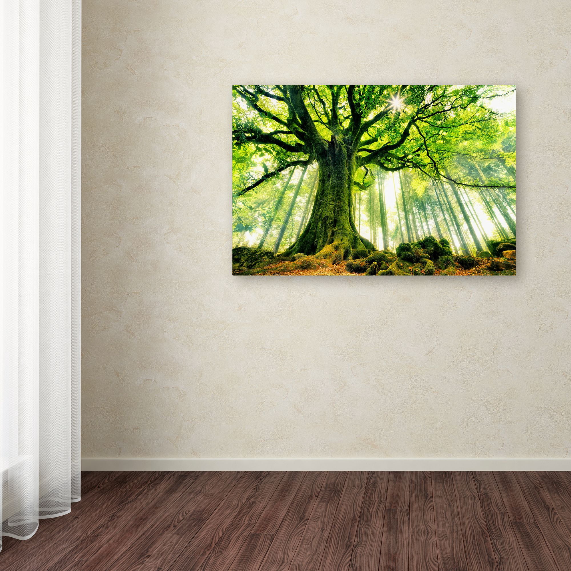 Christophe Kiciak 'Ponthus Beech' Canvas Art