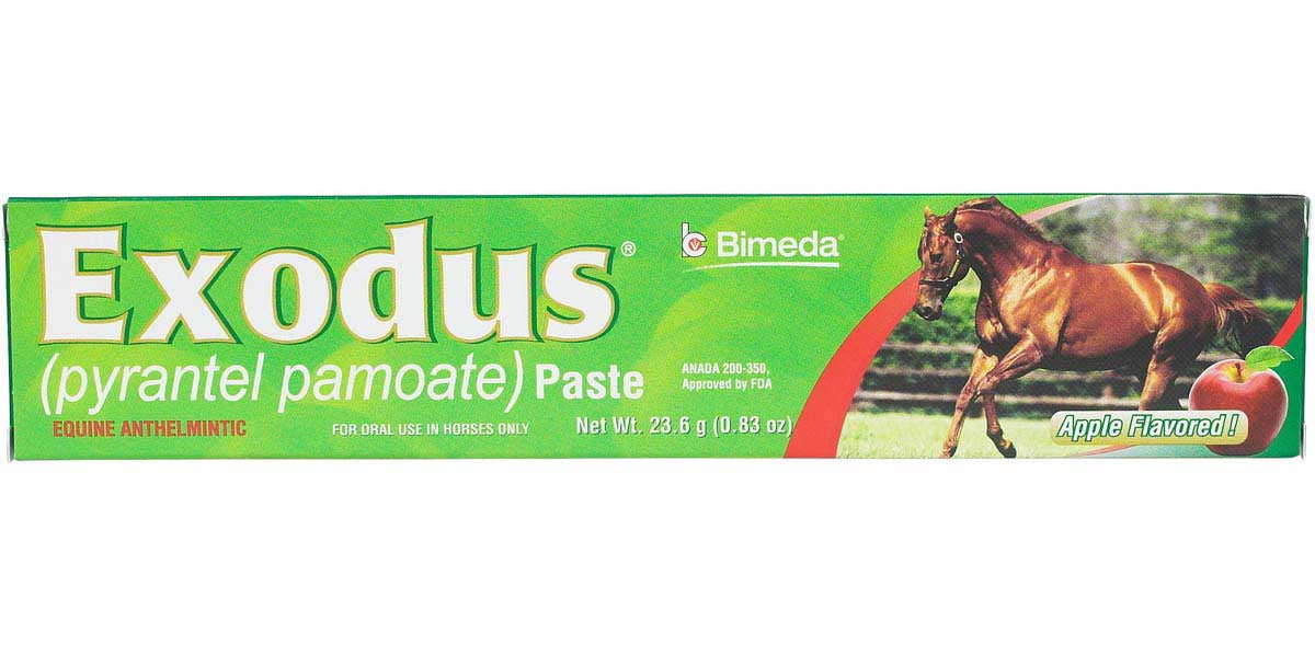 Exodus Paste Horse Dewormer contains pyrantel pamoate for horses and