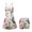 Hummingbird Floral Print, variant on KEIAHUAN Hummingbird Floral Golf Dresses for Women 2 Piece Set Breathable Spaghetti Strap Tennis Dress with Shorts Cross Backless Athletic Dresses with Pocket Summer Outfits XS