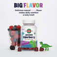 thumbnail image 4 of KAL Jurassic Elderberry Kids Gummies | Healthy Immune Support | USDA Organic, Vegan, Gluten Free | 30 Serv, 60 Ct, 4 of 6