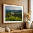 thumbnail image 5 of Yellow Flowers from Mount Soledad - La Jolla California Photography Landscape Scenic Nature Coast Flowers Rural Summer Unframed Wall Art Print 40 x 60 inches, 5 of 7