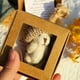 thumbnail image 5 of Osito de peluche de bolsillo, regalo inspirador, tela de felpa suave, tarjeta con mensaje conmovedor, para adultos, decoración de escritorio, compañero de viaje, regalo para ella, regalo, 5 of 7