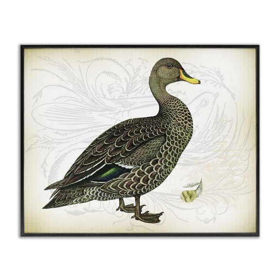 Stupell Industries Victorian Patterned Vintage Duck Black Framed Giclee Art, 20 x 16, by Lula Bijoux & co.