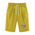 thumbnail image 1 of Pantalones Cortos Casuales para Mujer Día de la Independencia Impreso Elástico de la Cintura, Pantalones Cortos de Verano para Mujeres, 1 of 4