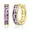 Gold,February, variant on Hoop Earrings for Women Trendy, Tiny Mini Small Huggie Earrings, Cubic Zirconia Rainbow Earrings Rose Gold, Safety Pin Flat Back Stud Earrings, Tragus Piercing Jewelry