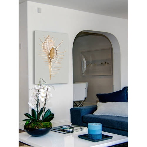 Marmont Hill "Spiny Murex" Painting Print on Wrapped Canvas
