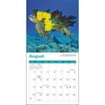 Ziga Media, Sea Turtles 2025 Mini Wall Calendar