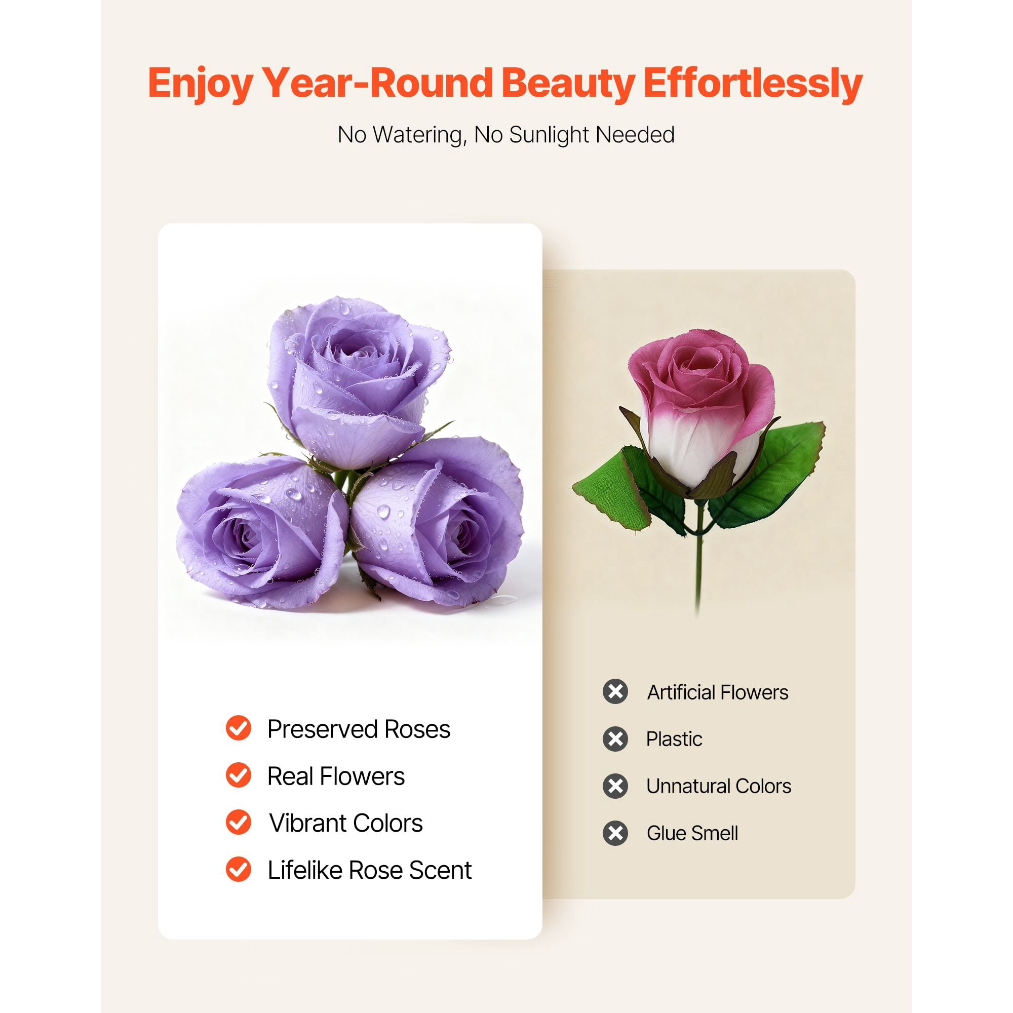Preserved Roses 50 Real Roses in Round Box Lasts Up to 3 Years No Watering Needed Light Rose Fragrance Clear Top for Decor