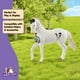 thumbnail image 5 of Figura de caballo de juguete Schleich HORSE CLUB Marwari Stallion 14 cm, 5 of 6