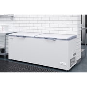 77 in. Commercial Chest Freezer 24 cu ft. SCF-24C