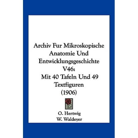 epub Text Databases epub Text Databases and