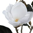 thumbnail image 2 of Vickerman 31" Artificial White Magnolia Stem, 2 of 2