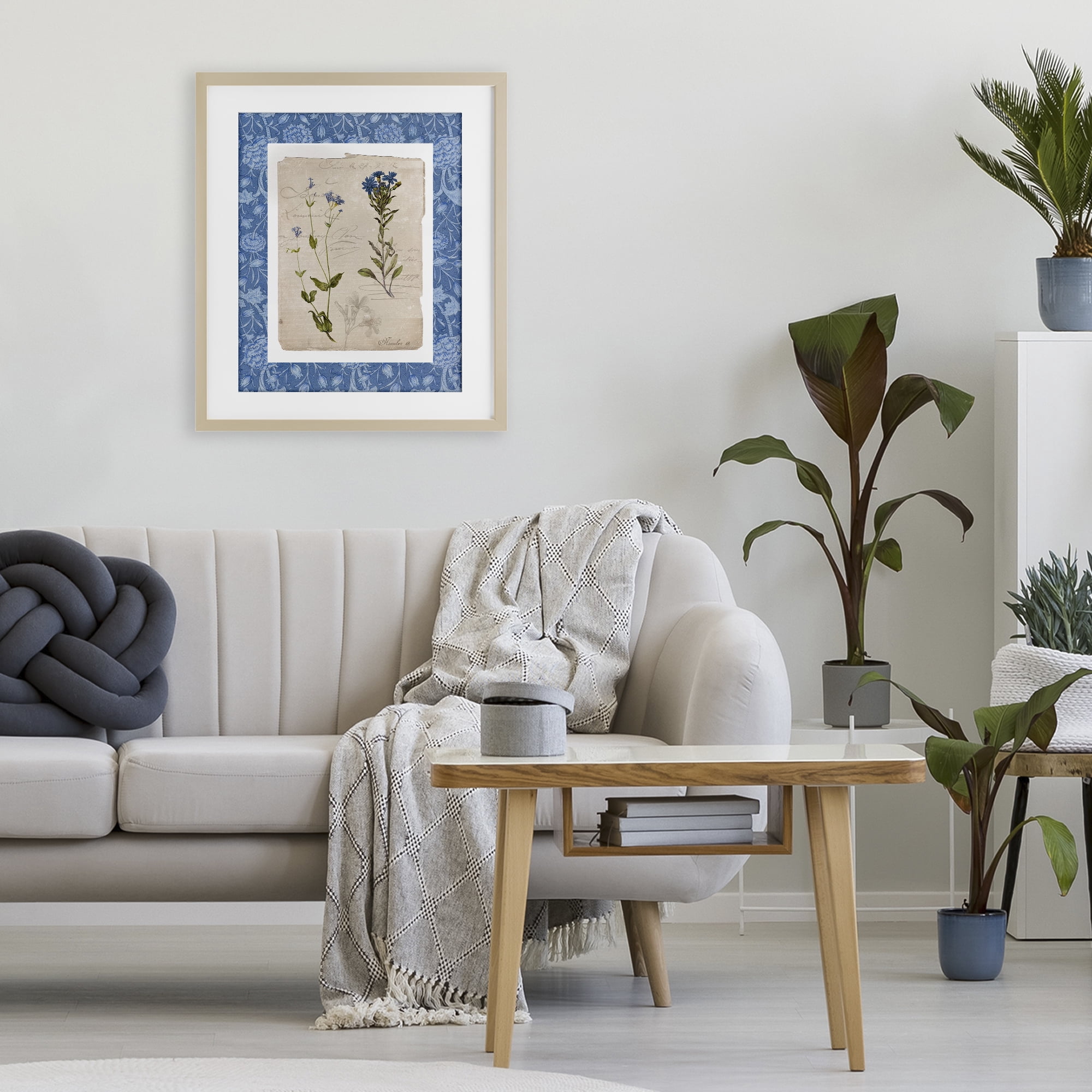 Stupell Industries Blue Vintage Botanicals Birch Framed Print Under Glass, design by Livi Finn