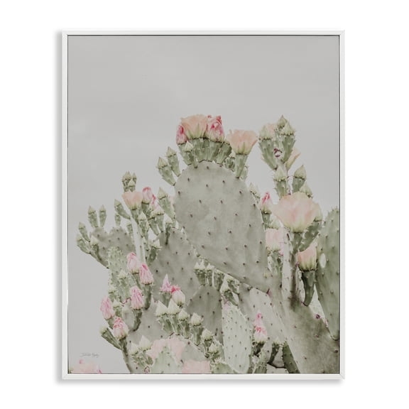 Stupell Industries Bohemian Pink Cactus Blossoms White Framed Giclee Art, 11 x 14, by Jennifer Rigsby