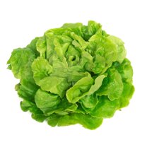 Tom Thumb Lettuce Seeds - 1 Lb Bulk ~400,000 Seeds - Butterhead Type - Non-GMO, Heirloom Vegetable Farm & Garden Seeds