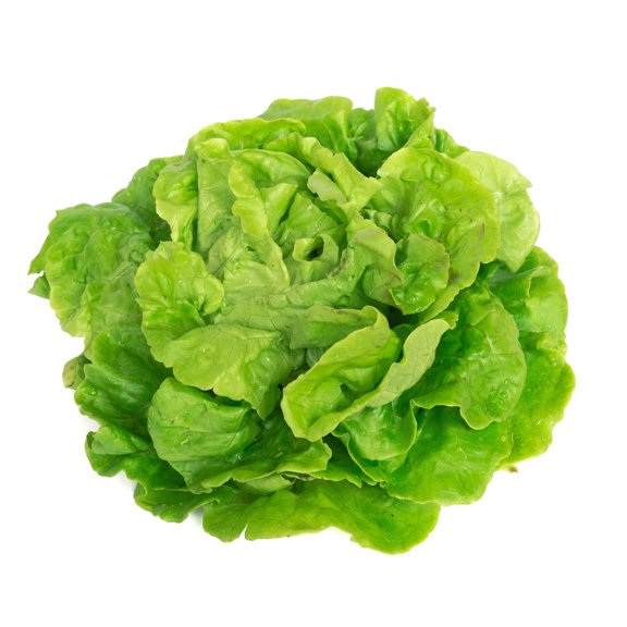 Tom Thumb Lettuce Seeds - 1 Lb Bulk ~400,000 Seeds - Butterhead Type - Non-GMO, Heirloom Vegetable Farm & Garden Seeds