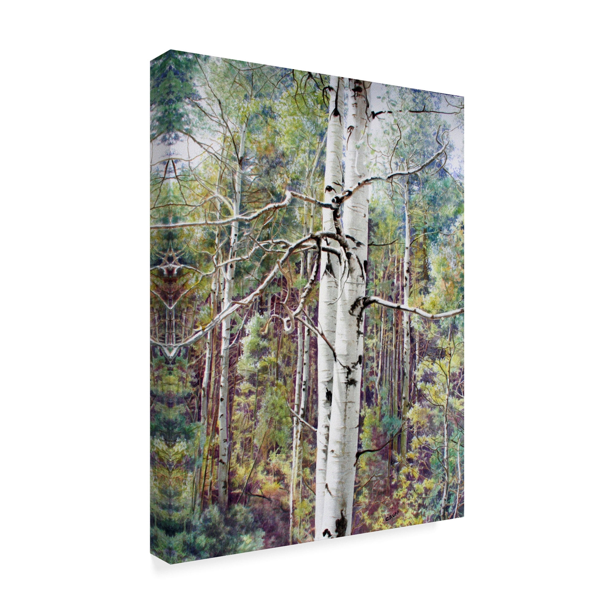Trademark Fine Art 'Summer Aspen Color' Canvas Art by Carol J Rupp