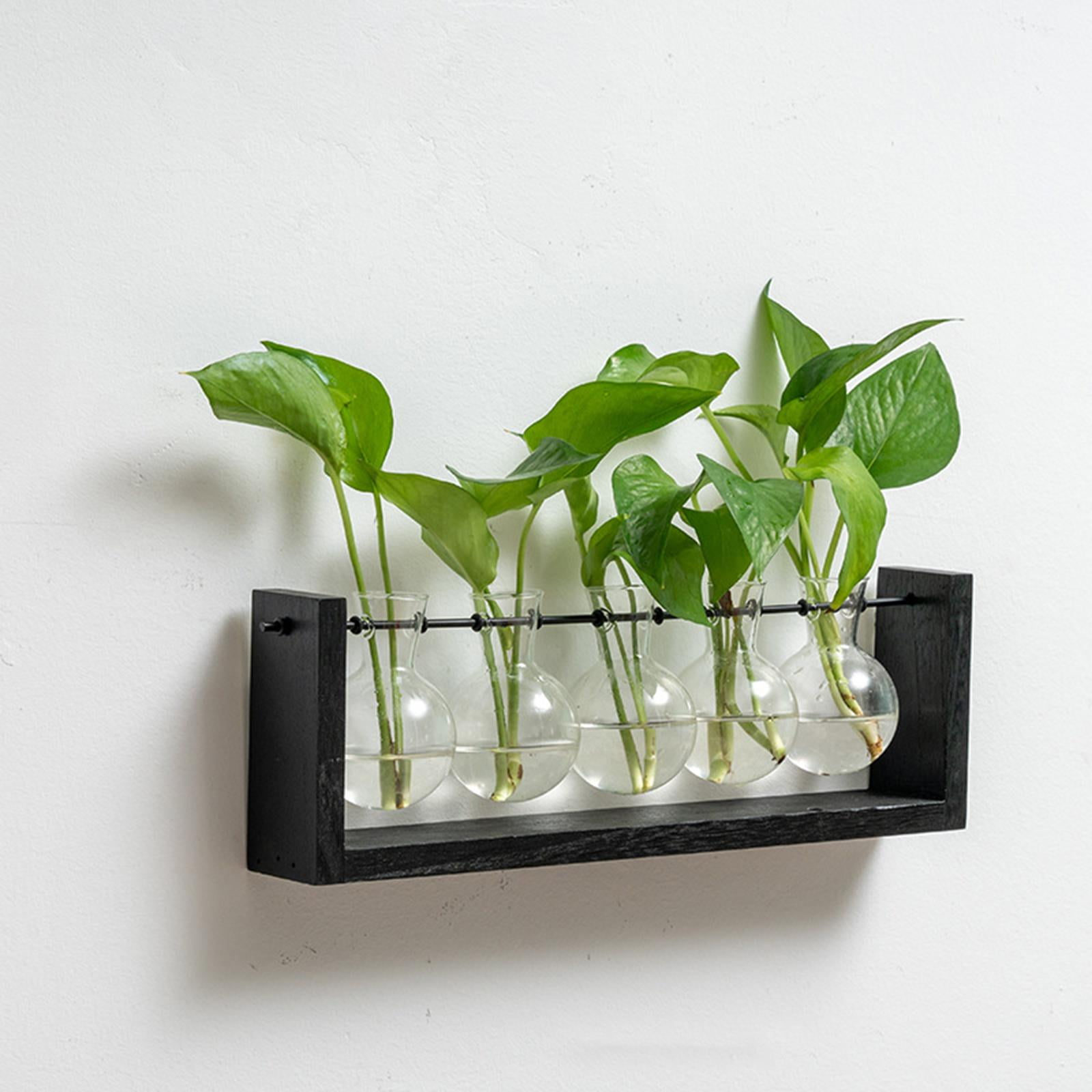 WLPZXP Glass Hanging Planter Hydroponic Vase Wall Mounted Plant Propagation with Wooden 38cmx12.5cm