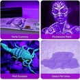 Black Light Flashlight, 12LED 395nm UV Handheld Black Light, Mini Torch