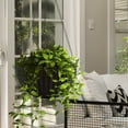 thumbnail image 7 of Sorbus Self-Watering Hanging Planter: Wicker Style, Espresso Brown, Large 2-Pack, 7 of 7