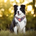 thumbnail image 2 of 2 Pcs Pumpkin Thanksgiving Fall Cat Bandana Puppy Bandanas Adjustable Dog Bib Scarf Accessories Square Dog Scarves for Pet Dog Rabbit Birthday Gift, 2 of 6