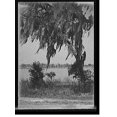 thumbnail image 2 of Historic Framed Print, Glimpse of Lake Eola, Orlando, Fla., 17-7/8" x 21-7/8", 2 of 9