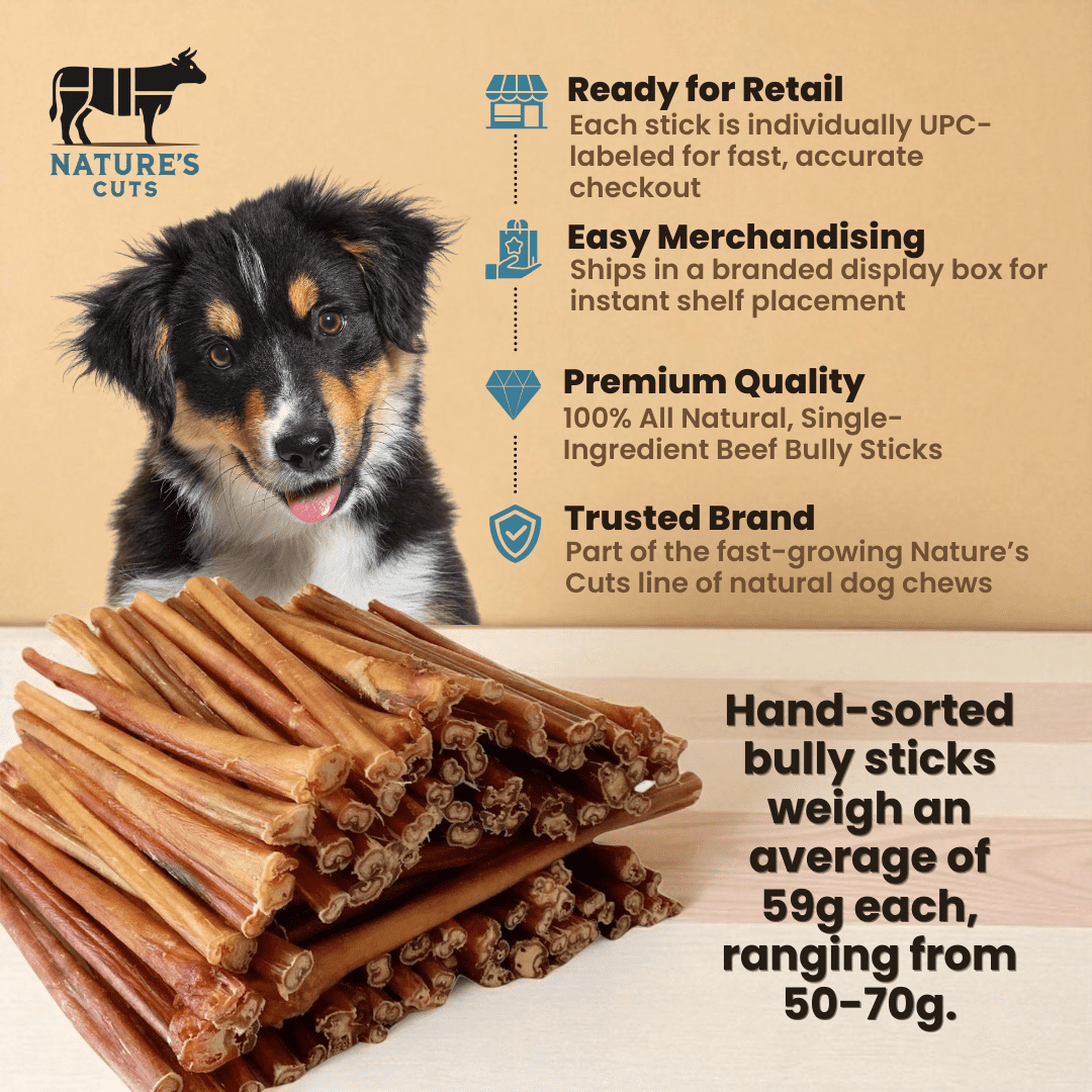 12" Thick Bully Sticks Display Box (40 ct) with Individual UPC Tags - 100% All Natural Beef