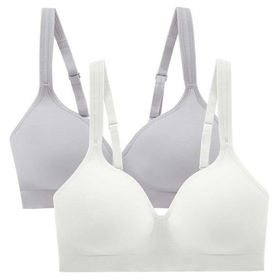 Carole Hochman Women's Wirefree Sealmless Comfort Bra, 2-Pack, White/Gray, Small