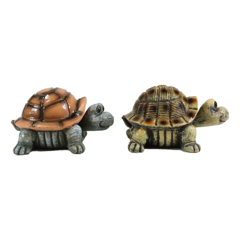 Calma Store 38灯 鼈甲柄 Skelton Tortoise Calma Store 38灯 鼈甲柄 Skelton Tortoise IMG_3053.jpg?crop
