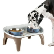 Petmaker Elevated Pet Feeding Tray with Splash Guard and Non-Skid Feet