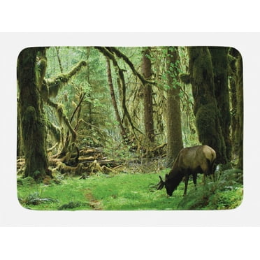 Rainforest Bath Mat, Roosevelt Elk in Rainforest Wildlife National Park Washington Antlers Theme, Non-Slip Plush Mat Bathroom Kitchen Laundry Room Decor, 29.5 X 17.5 Inches, Green Brown, Ambesonne
