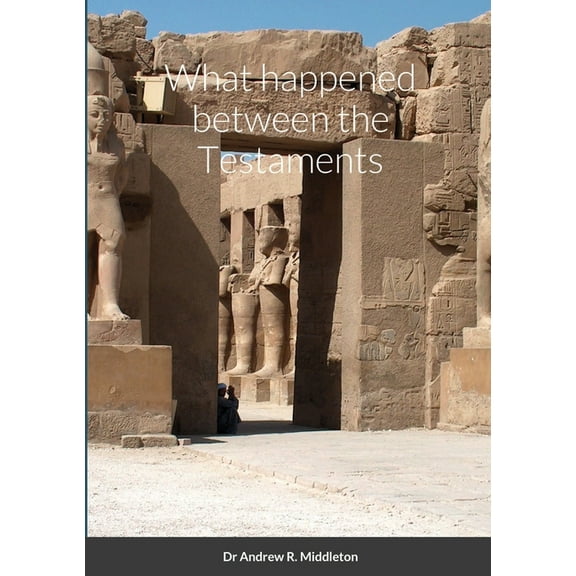 What happened between the Testaments (Paperback)