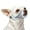 Mint Blue, variant on Dog Muzzle, Soft Mesh Muzzles for Small Dogs, Chihuahua Shih Tzu , Short Snout Mouth Guard for Barking Biting Grooming, Breathable Adjustable Puppy Muzzle (Crystal‌ Pink, XXS)
