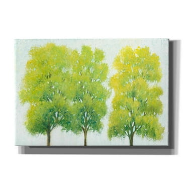 Epic Graffiti 'Spring Eternal I' by Tim O'Toole, Canvas Wall Art, 26"x18"