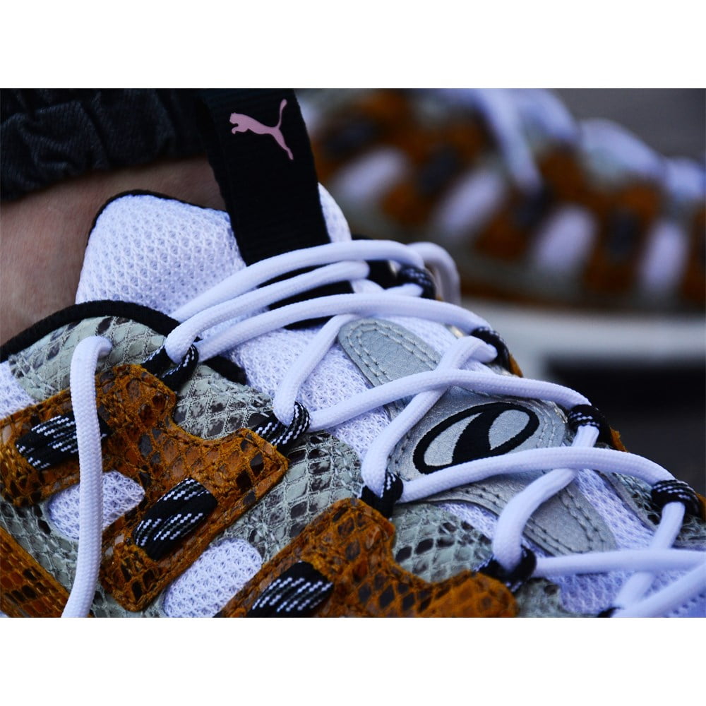 Puma Cell Endura Animal Kingdom Walmart