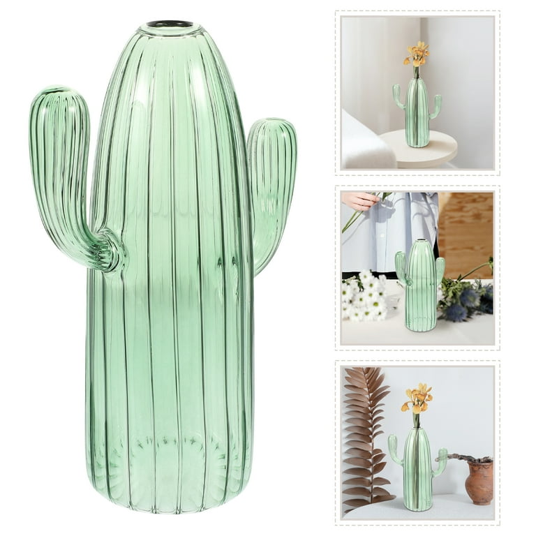 Glass Vase Cactus Planter Hydroponic Tabletop Flowers Decoration Small Home Office Centerpiece
