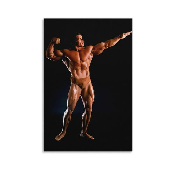 Arnold Schwarzenegger POSTER (2) Picture Print Wall Art Poster Painting Canvas Posters Artworks Gift Room Aesthetic 16x24inch(40x60cm)