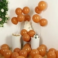 thumbnail image 4 of BalsaCircle 50 Caramel 12 in Round Matte Pastel Latex Biodegradable Balloons Wedding Reception Events Birthday Party Decorations Supplies, 4 of 8