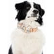 thumbnail image 5 of Dog Collar with Detachable Bow Tie, Trendy Pattern Dog Training Collar, Cotton Dog Adjustable Collar with Breathable Bow Tie Collar for Small Medium L, 5 of 5