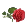thumbnail image 2 of 20 Pieces Fake Roses Portable Solid Color Simulation Household Wedding Party Artificial Flower Branch Photography Prop Red, 2 of 10