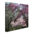thumbnail image 2 of Trademark Fine Art 'Mauve and Pink Flowering Trees of Spring' Canvas Art by Kurt Shaffer, 2 of 3