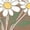 #0269-Khaki, variant on Women Vintage Flower Shirts Boho Wildflower T-Shirt Funny Nature Cottage Core Floral Short Sleeve Tops