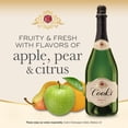 thumbnail image 5 of Cook's Brut, Sparkling Wine, 1.5 L, 11.50% ABV, 5 of 10